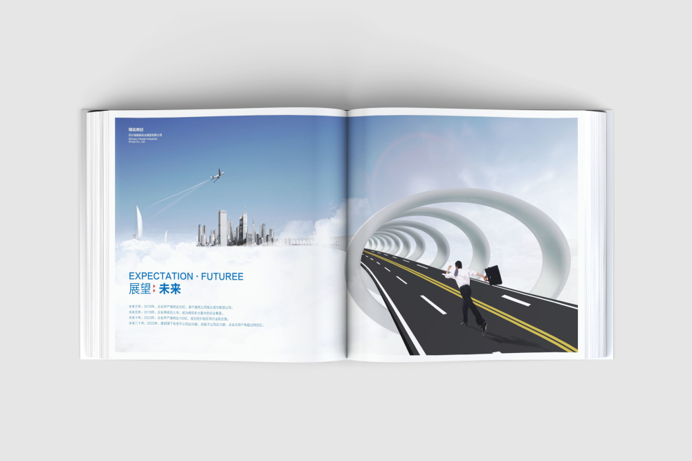 硚口区画册设计